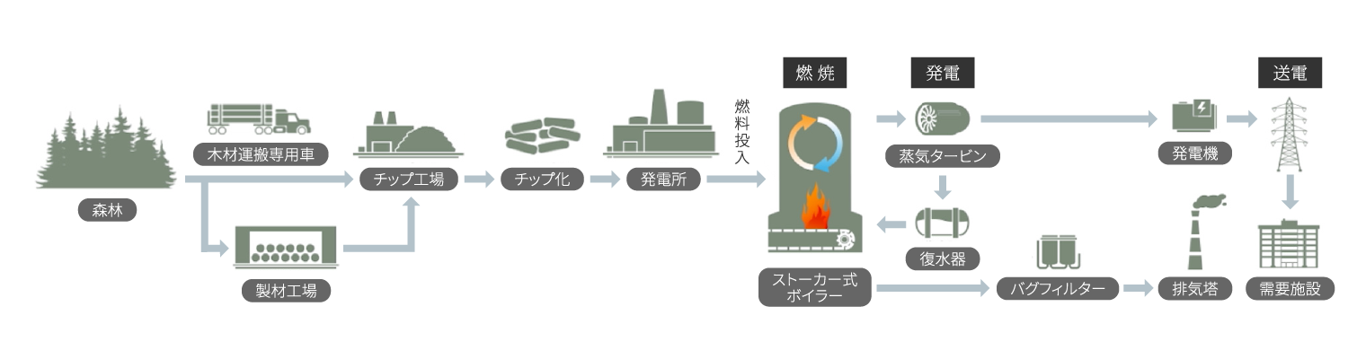 森林の木材が発電に利用されるまでのフロー図