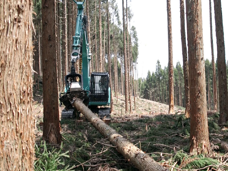 林産事業の写真1