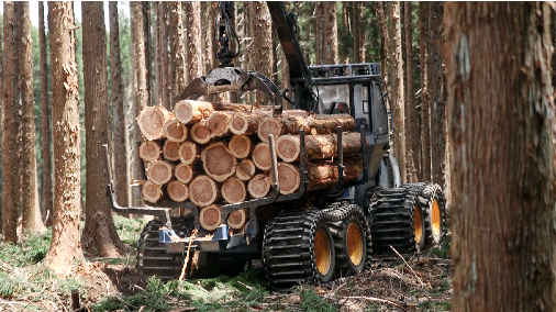 林産事業の写真3